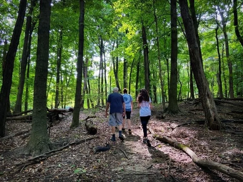 Nature Walk & Talk