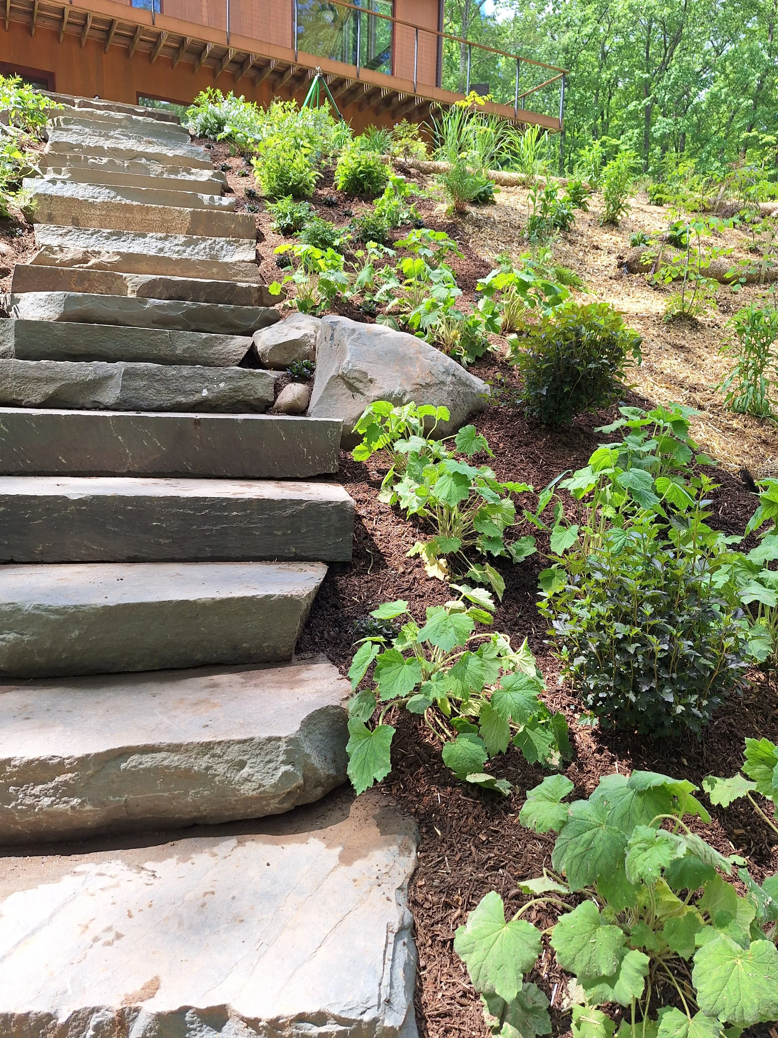 garden 30.jpg