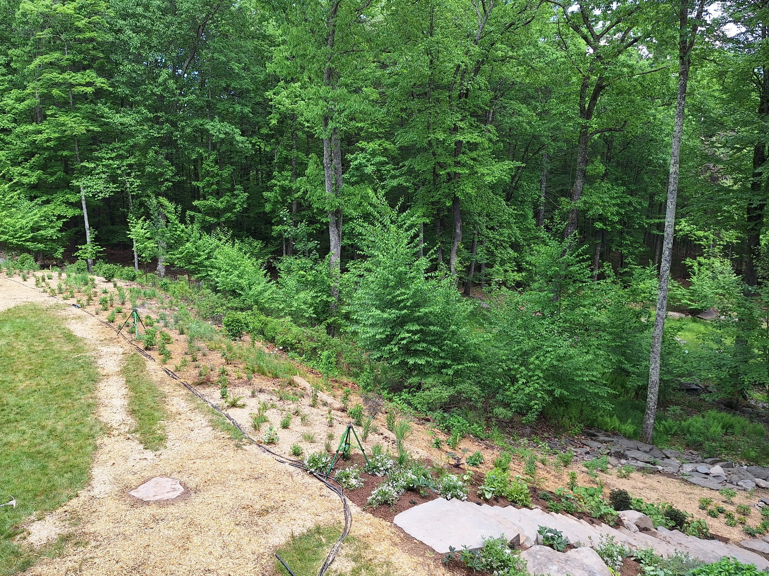 garden 33.jpg