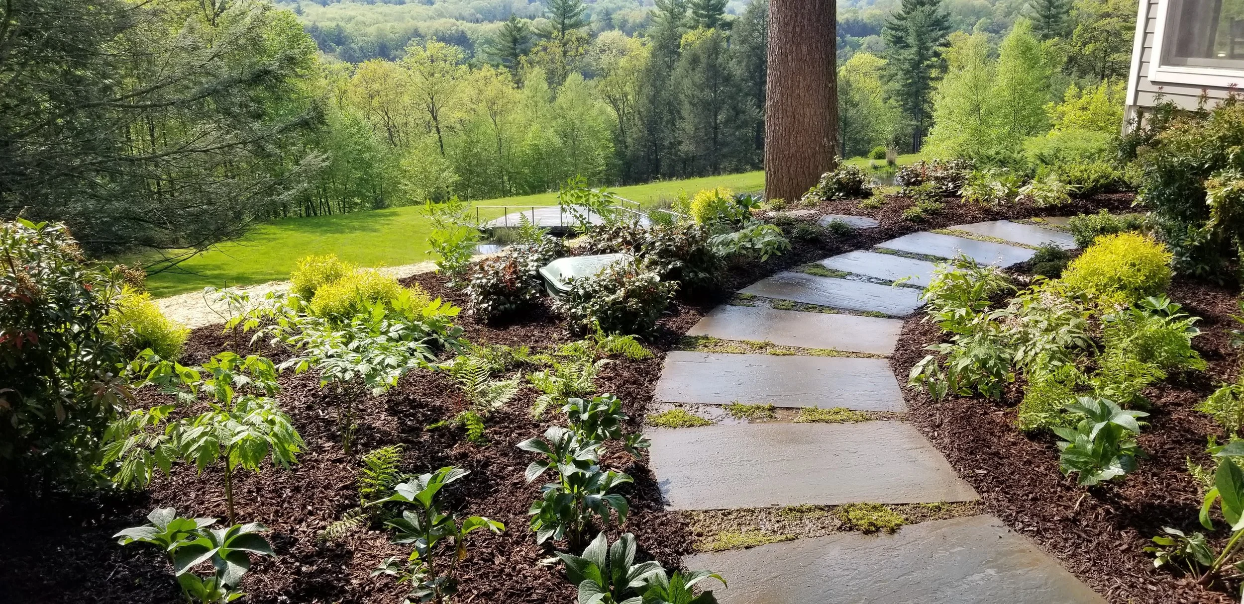 20190517_161549.jpg