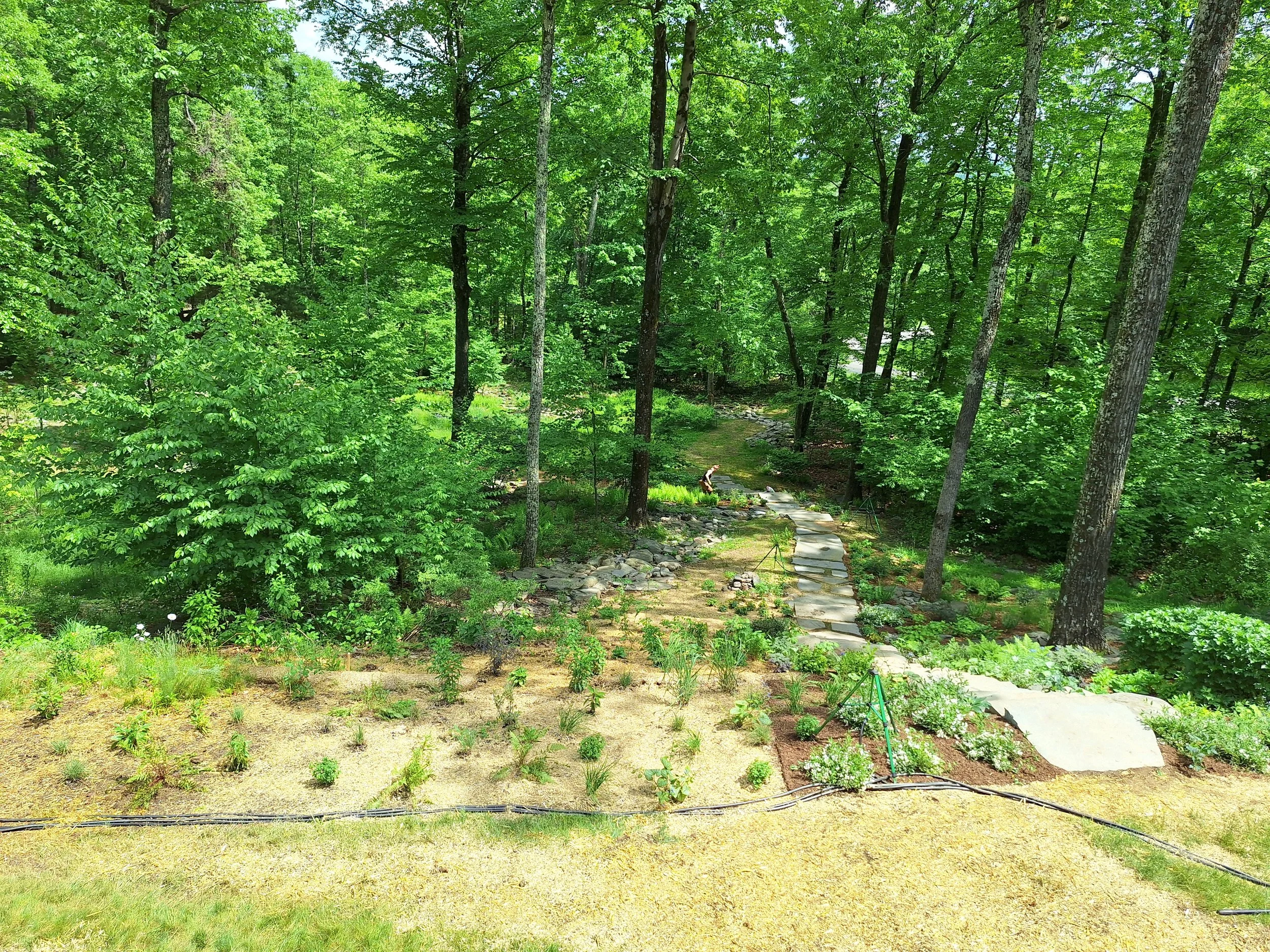 garden 39.jpg