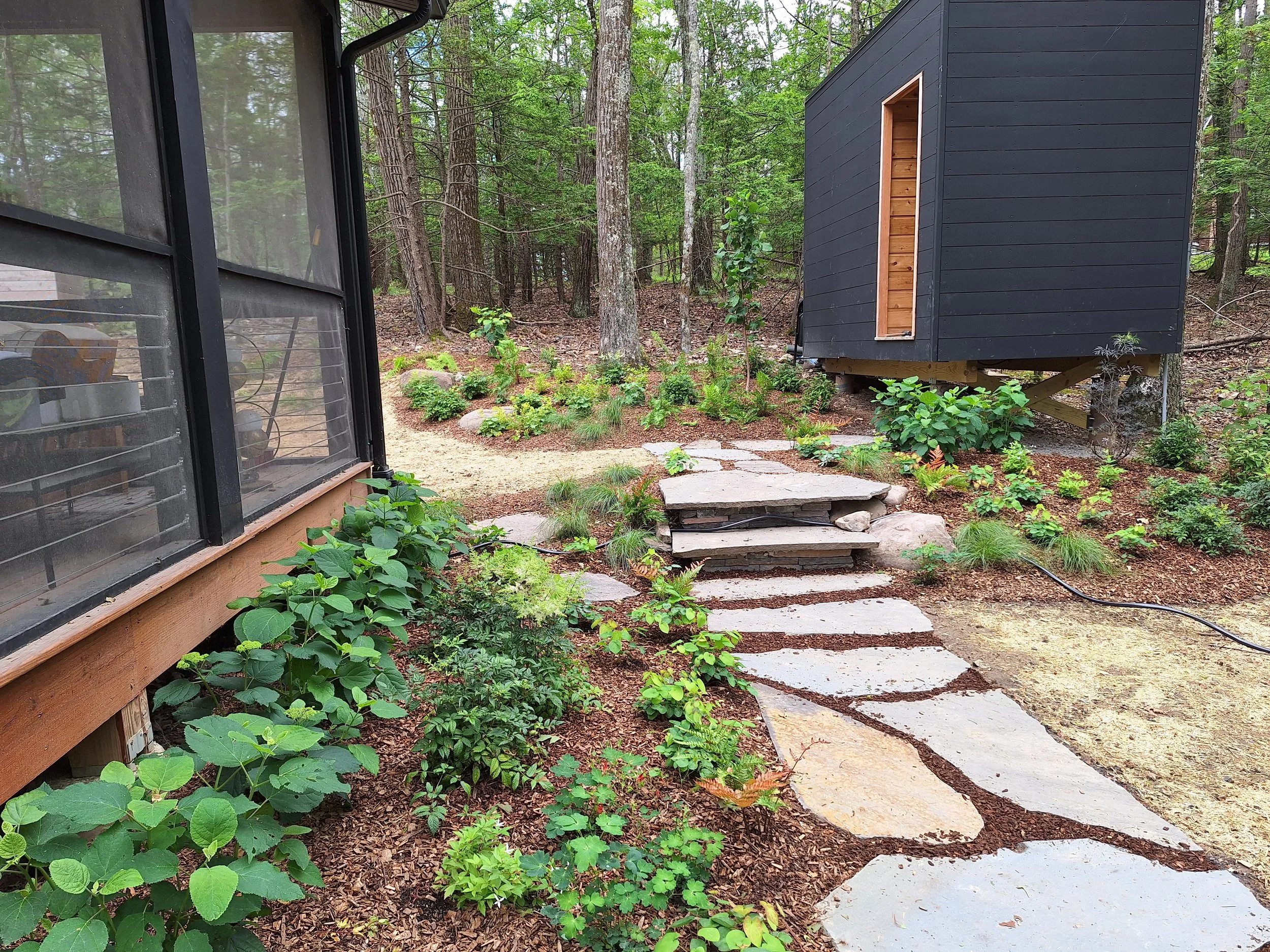 garden 1.jpg