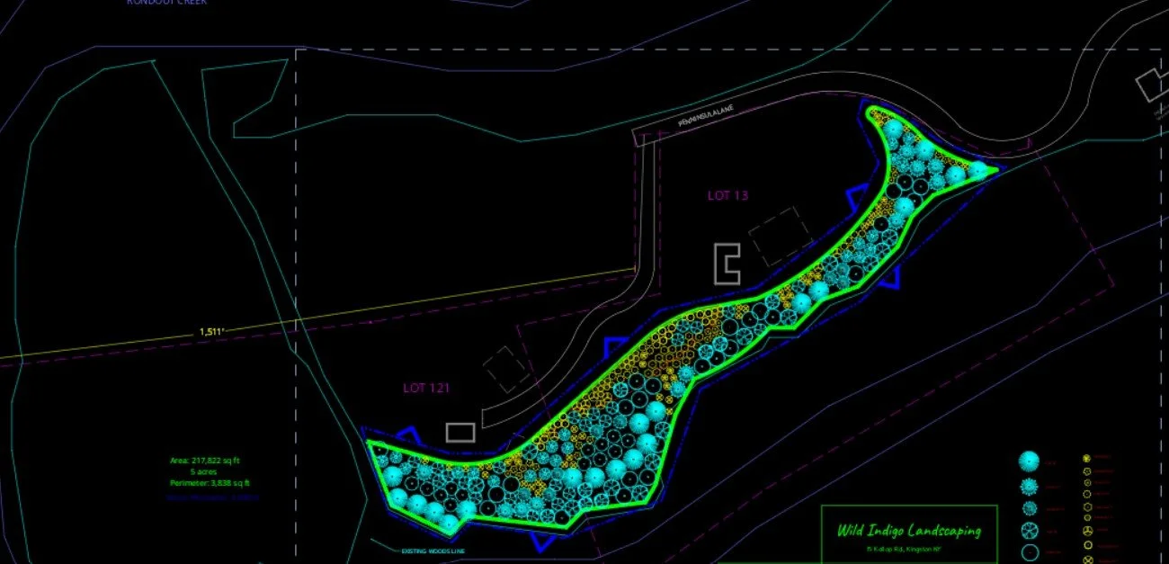 Binns - Planting Plan.jpg