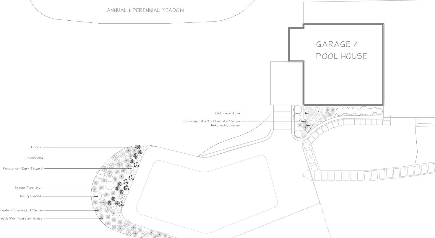 Screenshot 2025-02-12 123445.jpg