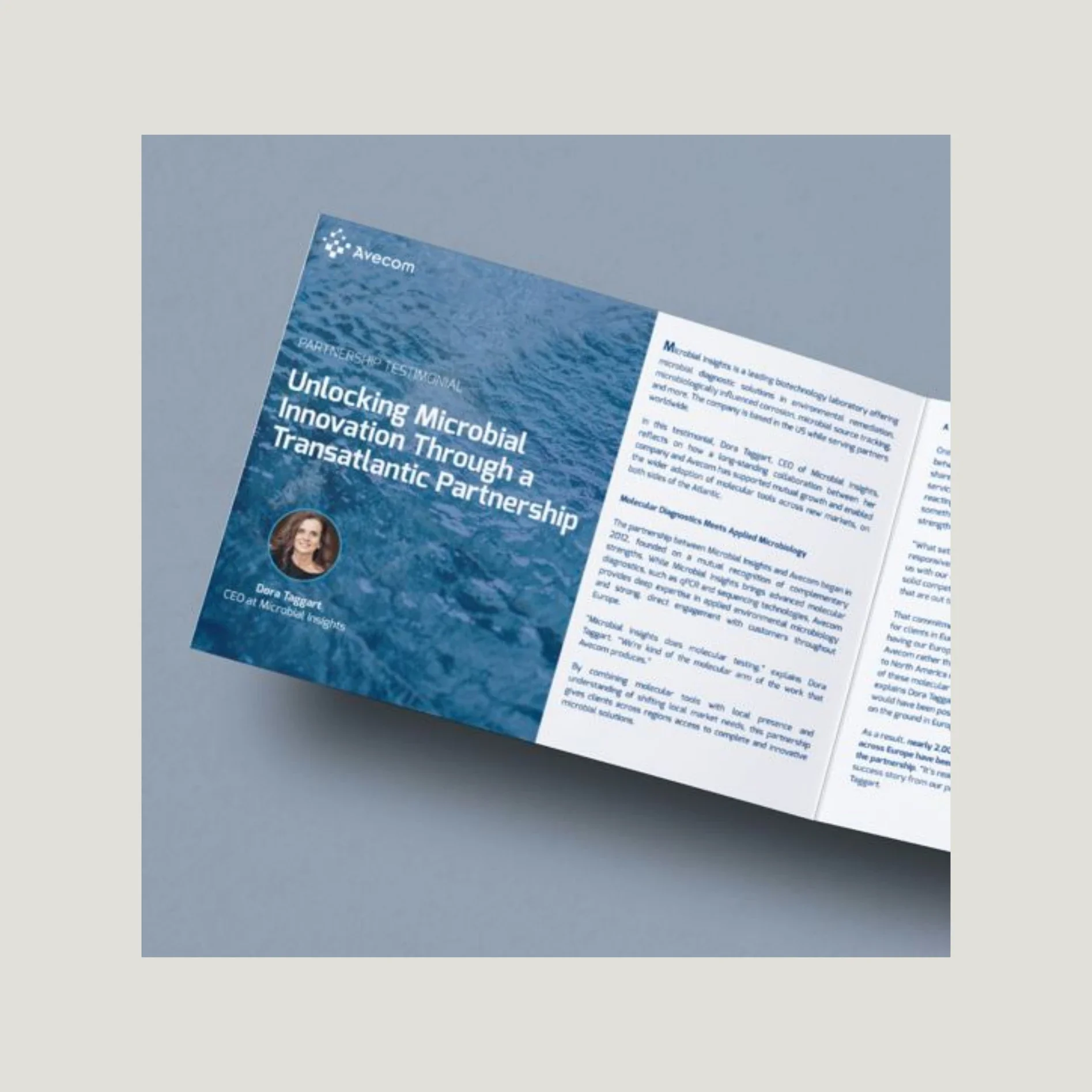 mock up of a marketing hardcopy marketing brochure