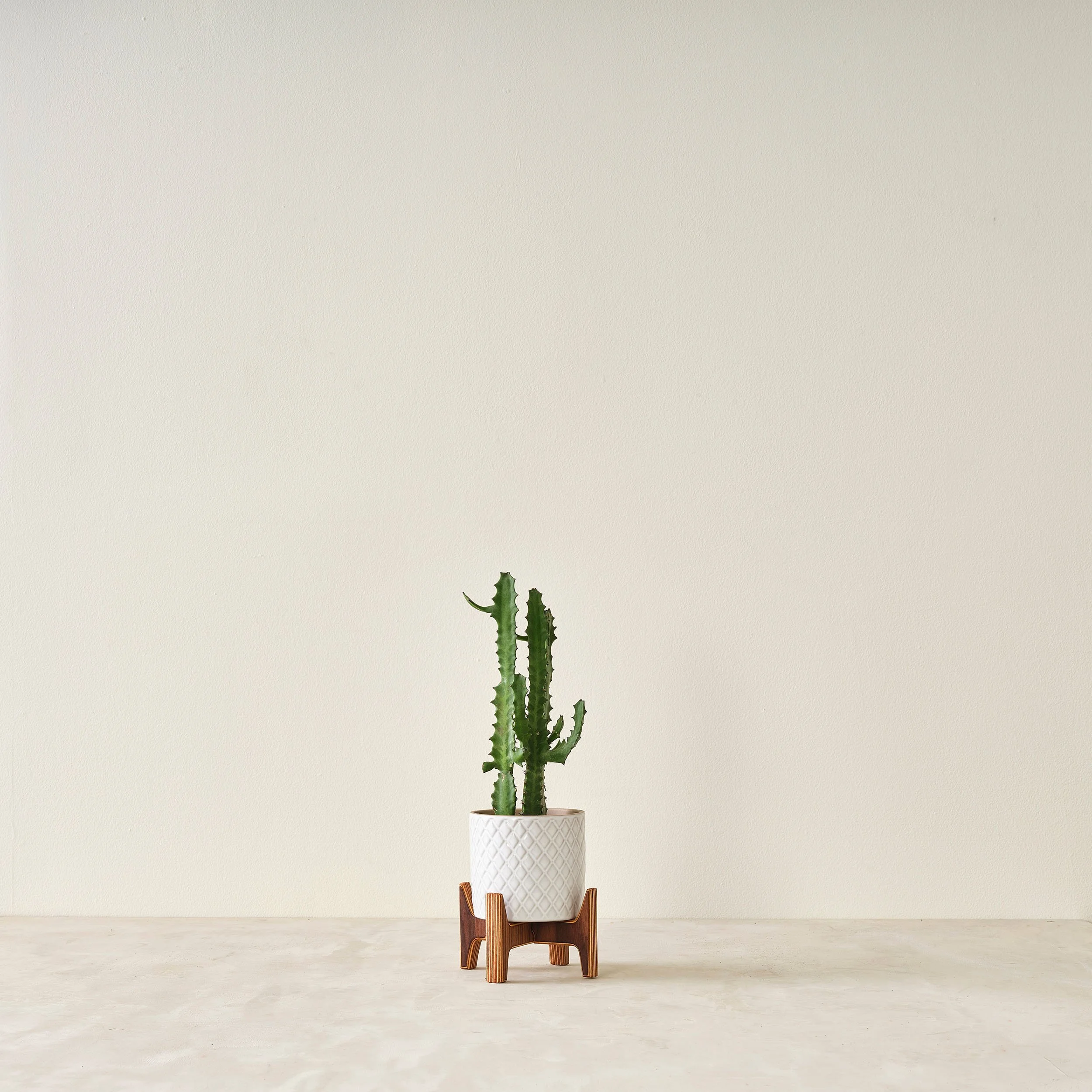 modern wood plant stand in 5 sizes in walnut