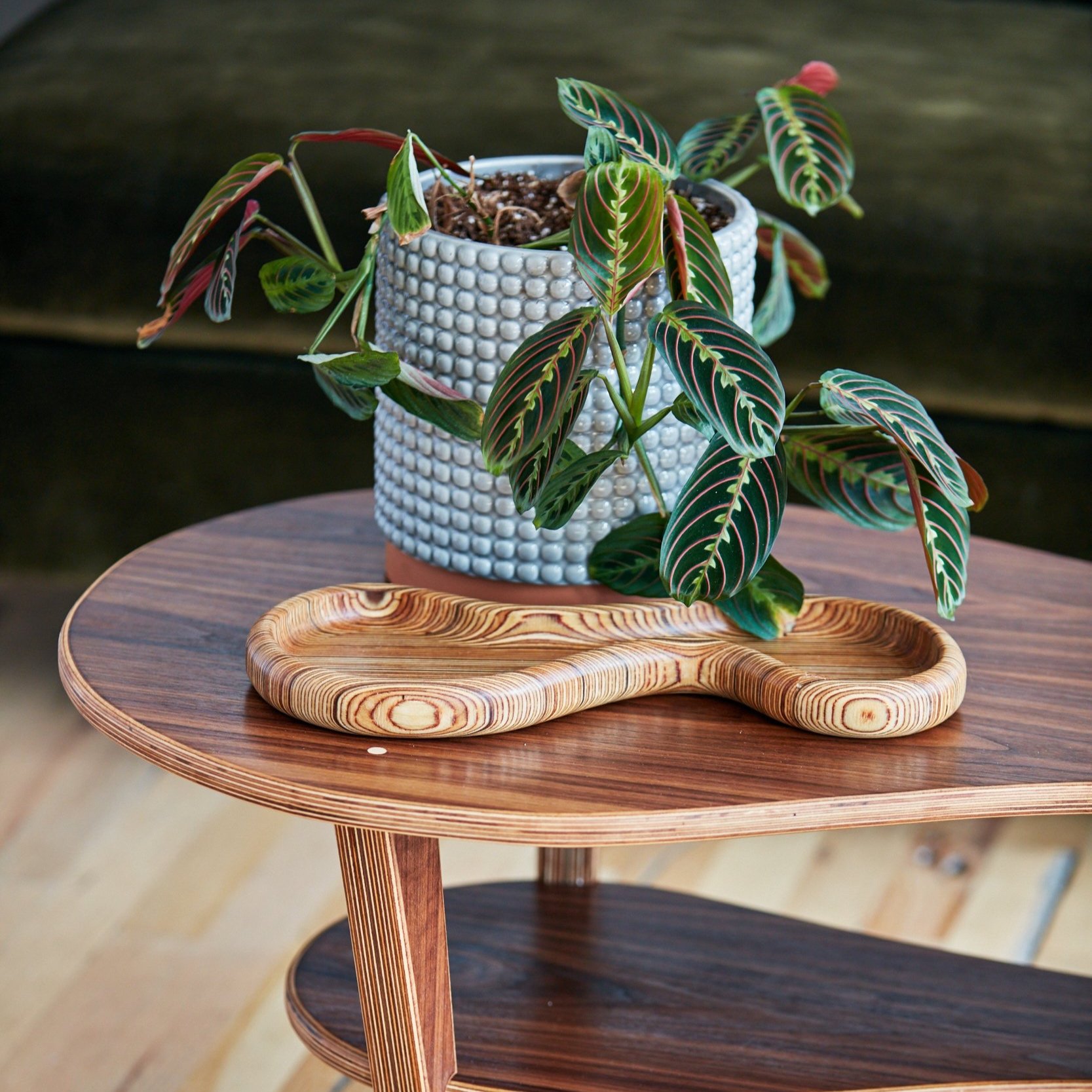 handmade mid-century modern wood curved tray in edge grain Baltic birch