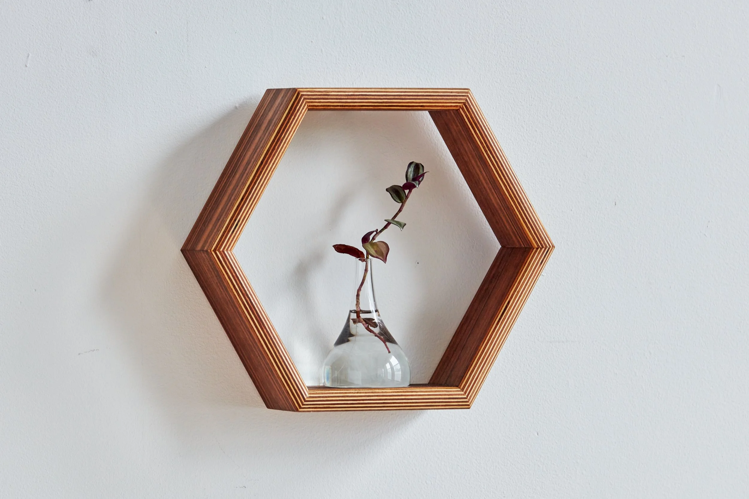 20220513_JustinHossle_Amoeba-Maple-CoffeeTable_0438.jpg