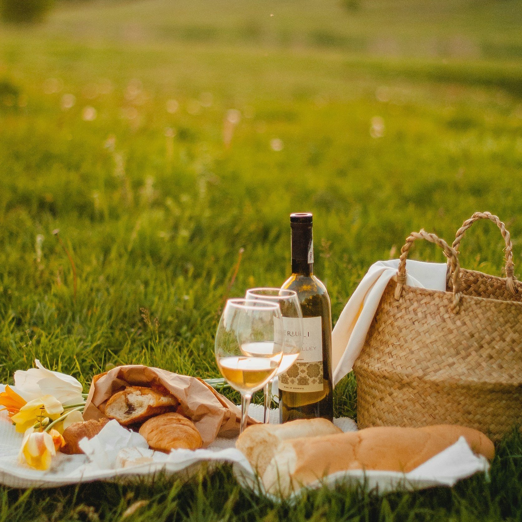Picnic Quiz Questions