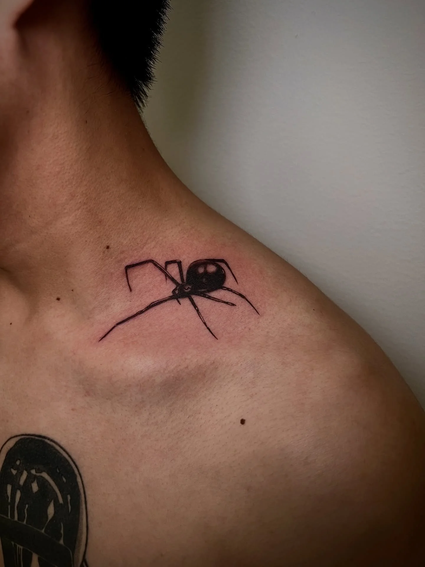 🕷️ 🕷️ 🕷️