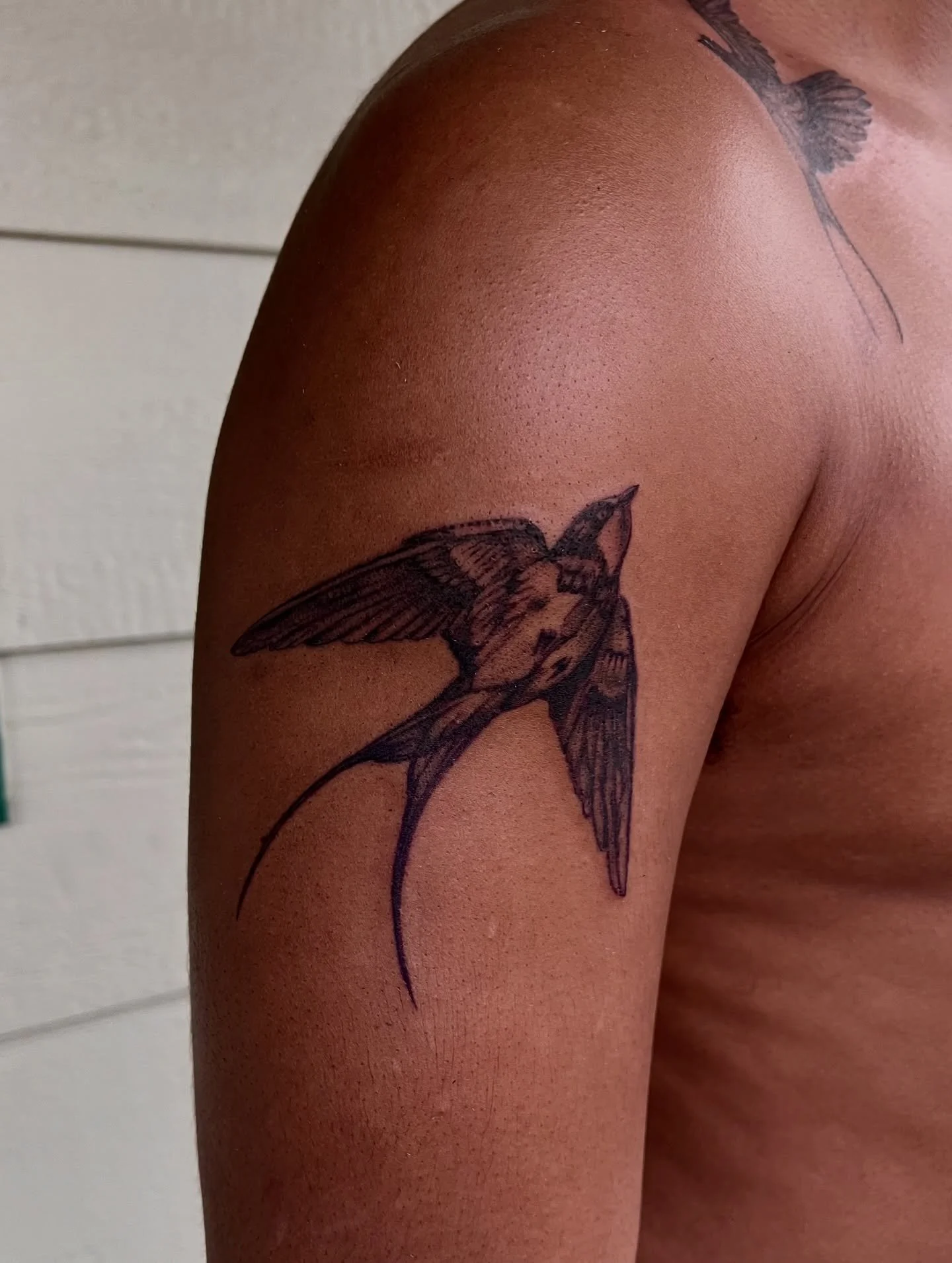 Two Swallows 🪶 thank you Austin!!