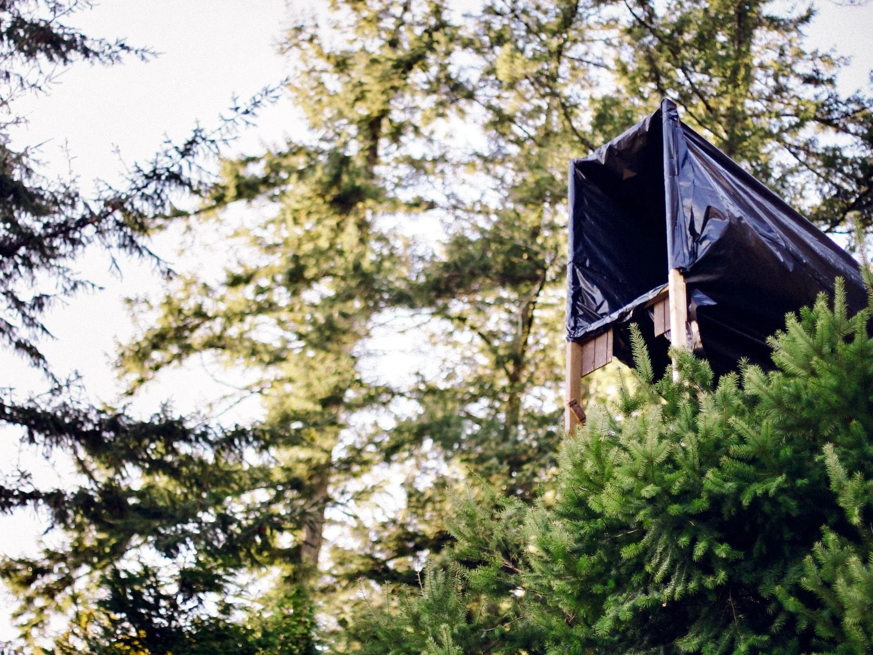 012_Seattle Demo Project_The Frame.jpg