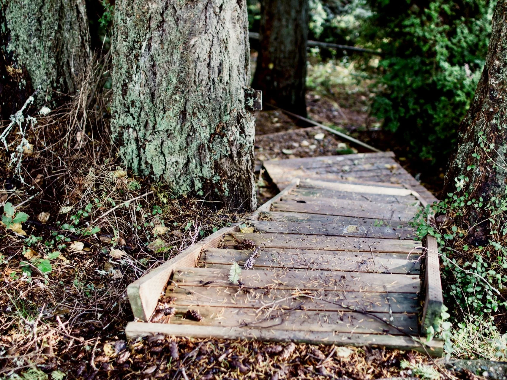 004_Seattle Demo Project_The Inspiration.jpg