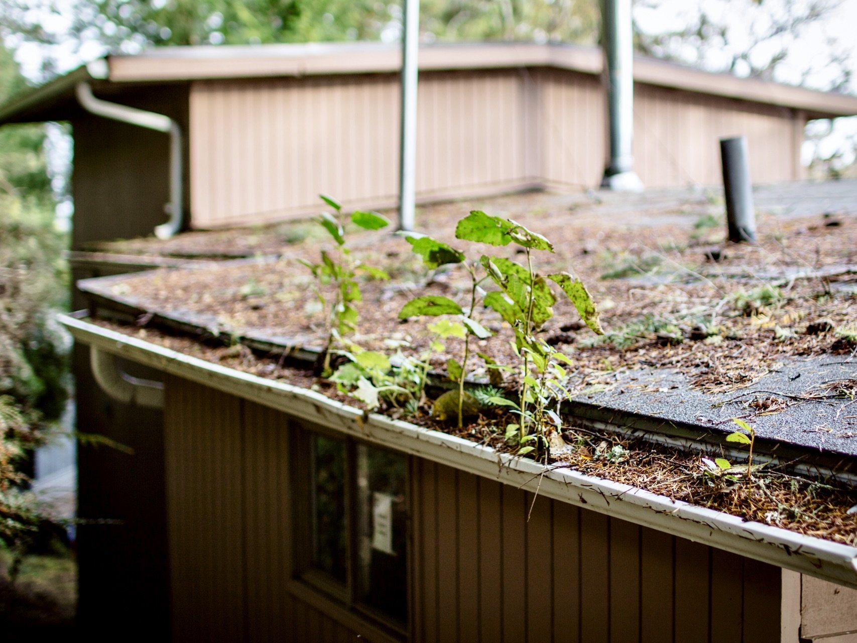 003_Seattle Demo Project_The Inspiration.jpg