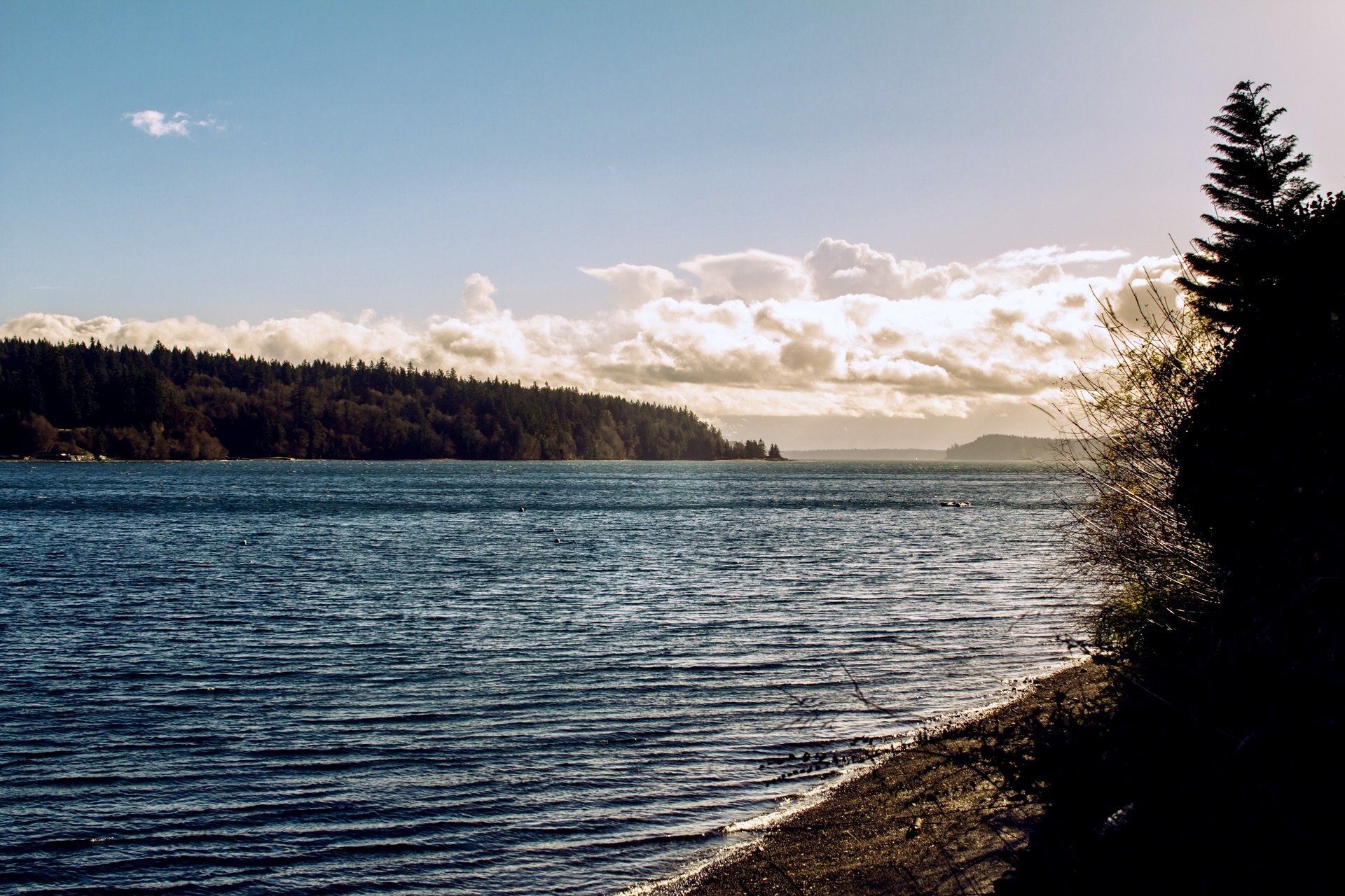 015_Seattle Demo Project_The Frame.jpg