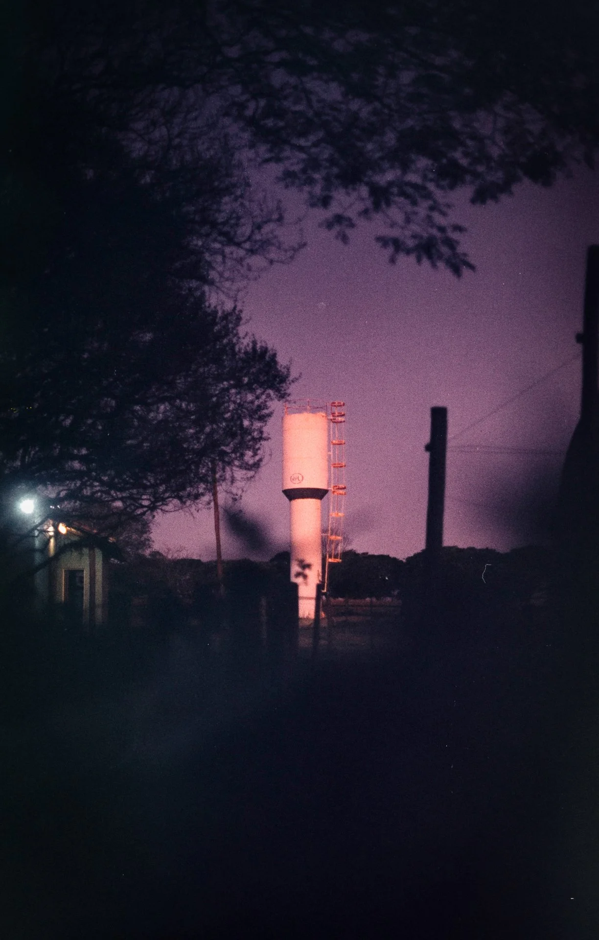 [21] Kodak 250D s3t.jpg