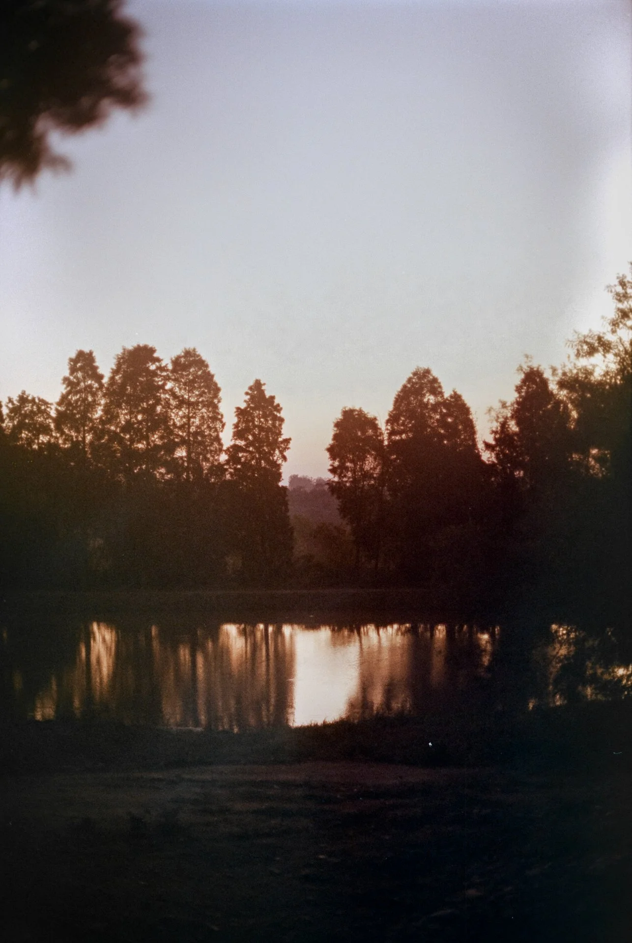 [19] Kodak 250D s3t.jpg