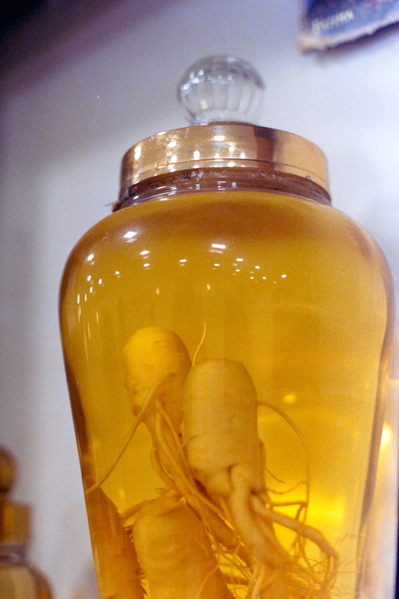 [18] Kodak M 500T.jpg