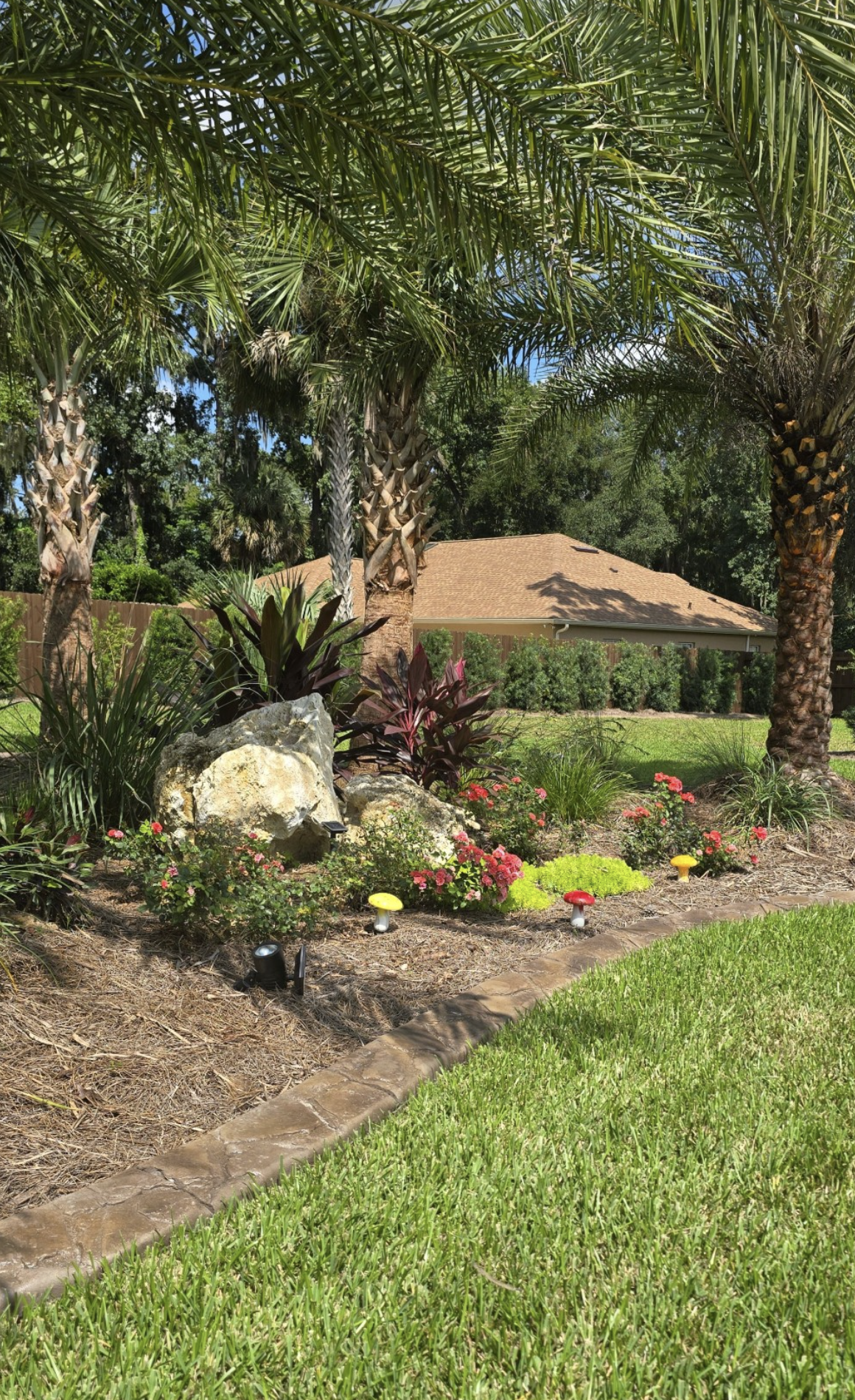 Preparing Your Sod for Winter in Ocala, Florida (USDA Zone 9a)