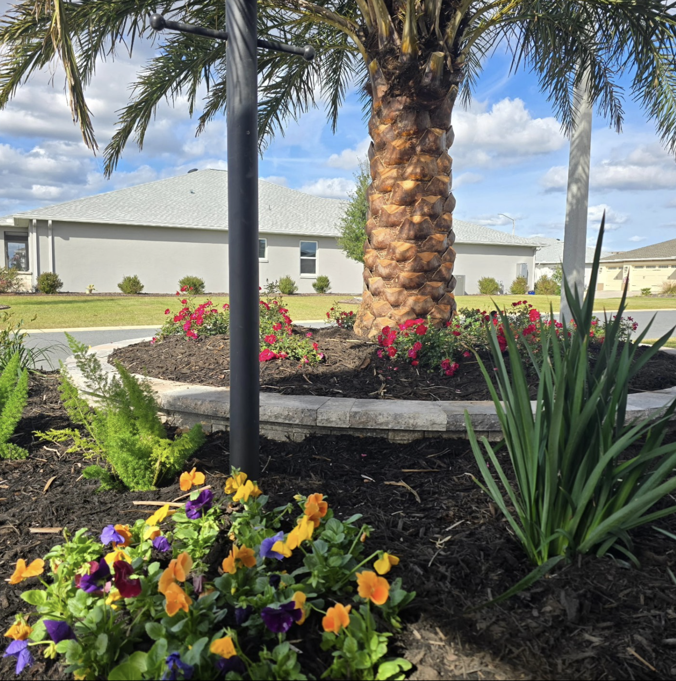 When Should You Invest in Professional Landscape Design? A Guide for Ocala Homeowners