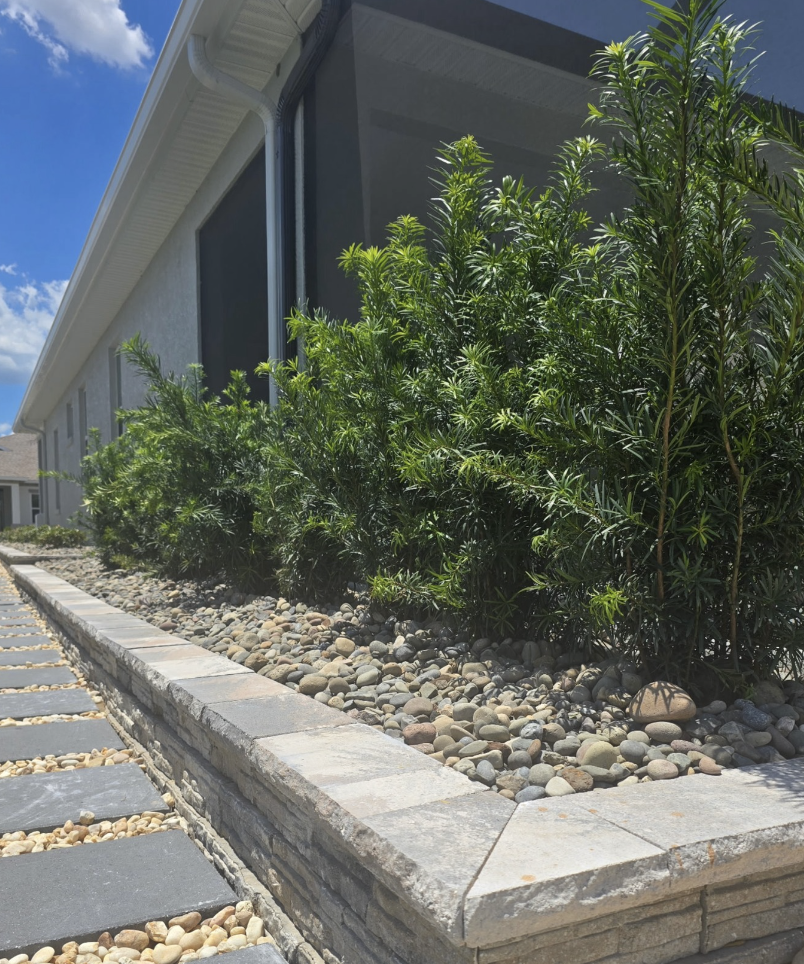 A Simple But Curate Hedge Selection for Ocala, Florida Landscaping