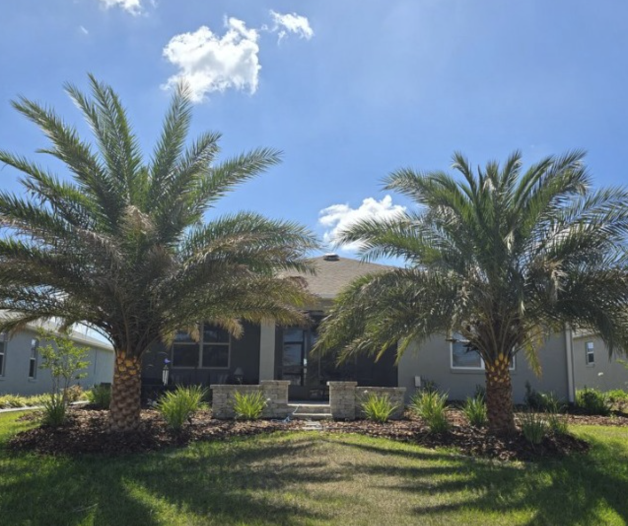 Deciduous vs. Evergreen Plants: Creating Year-Round Beauty in Your Ocala, Florida Landscape