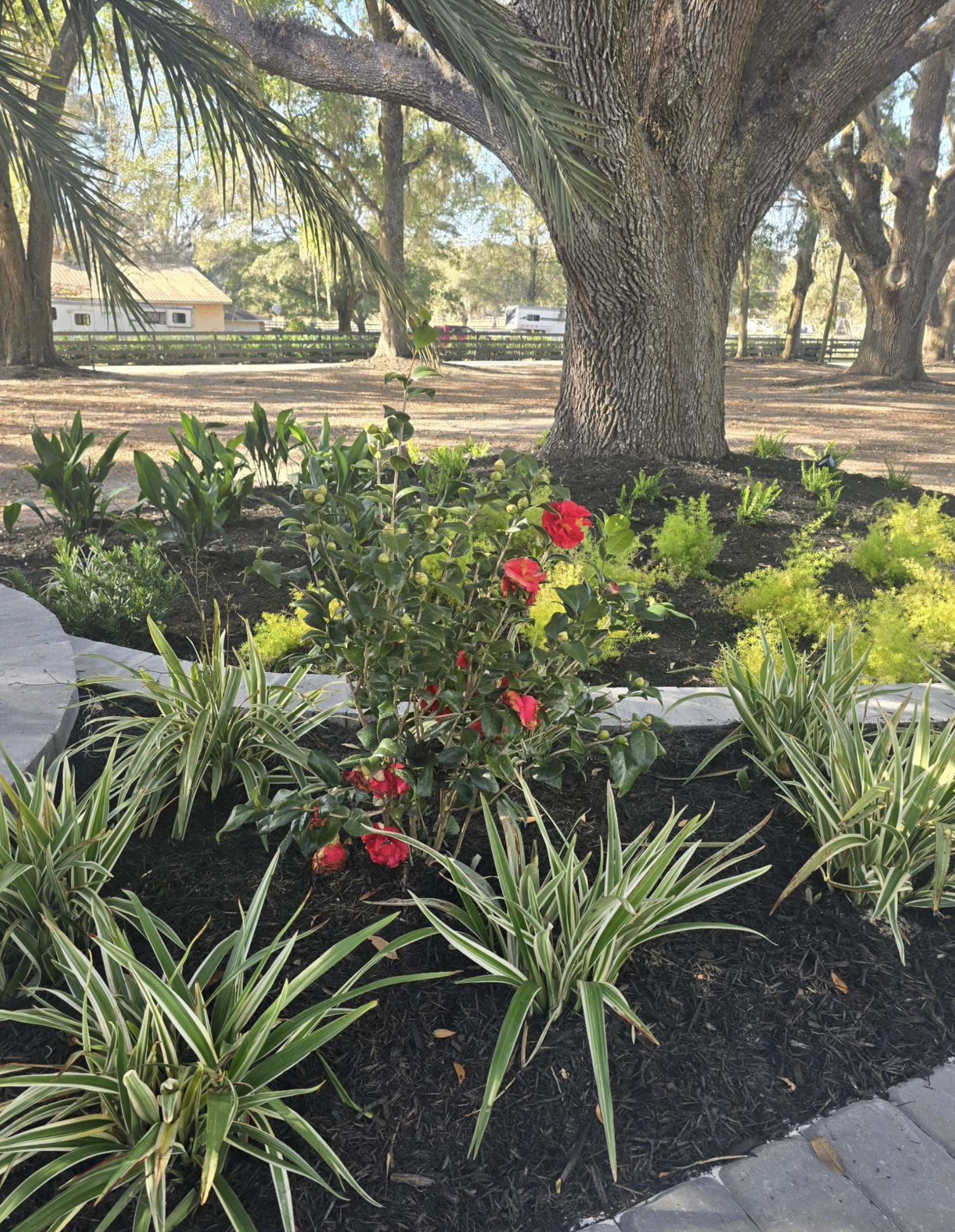Caring For Your Ocala, Landscaping In The Winter