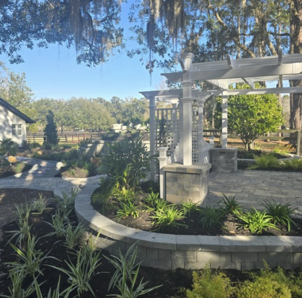 Best Shade Plants for Ocala, Florida: Create a Cool, Lush Oasis in Your Yard