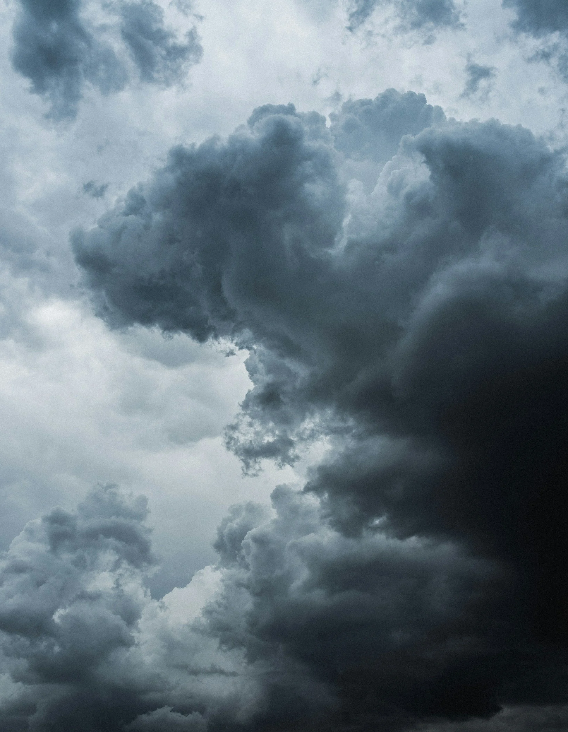 Let It Rain: Fun Ways To Turn Downpours Into Garden Inspo