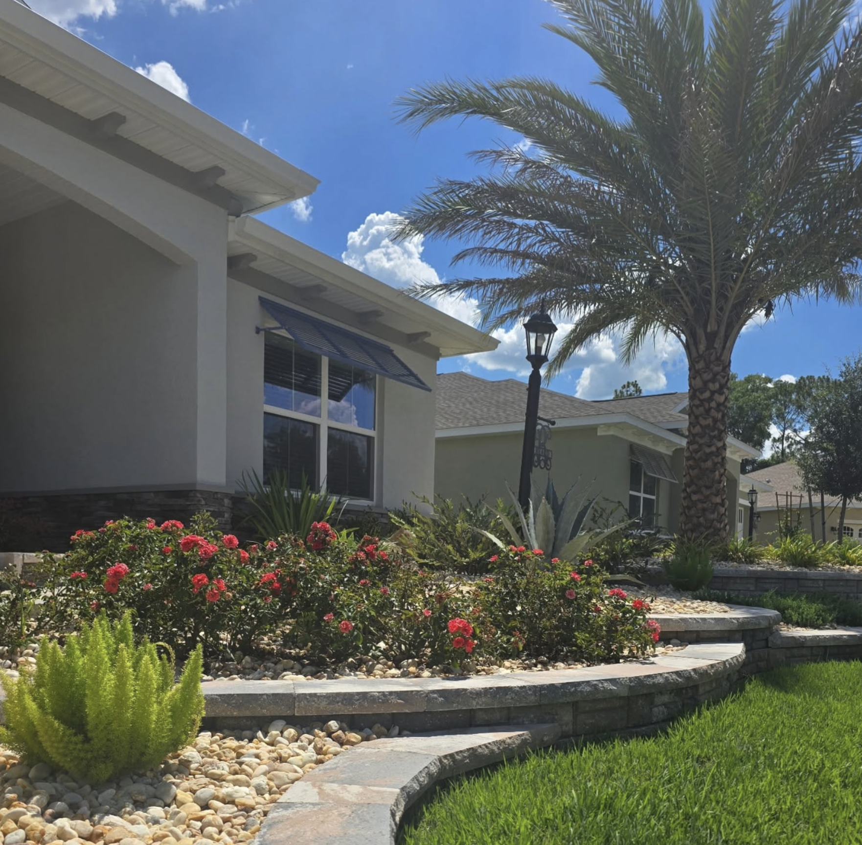 More Color, More Care: What Ocala Gardeners Should Know Before Planting for Impact