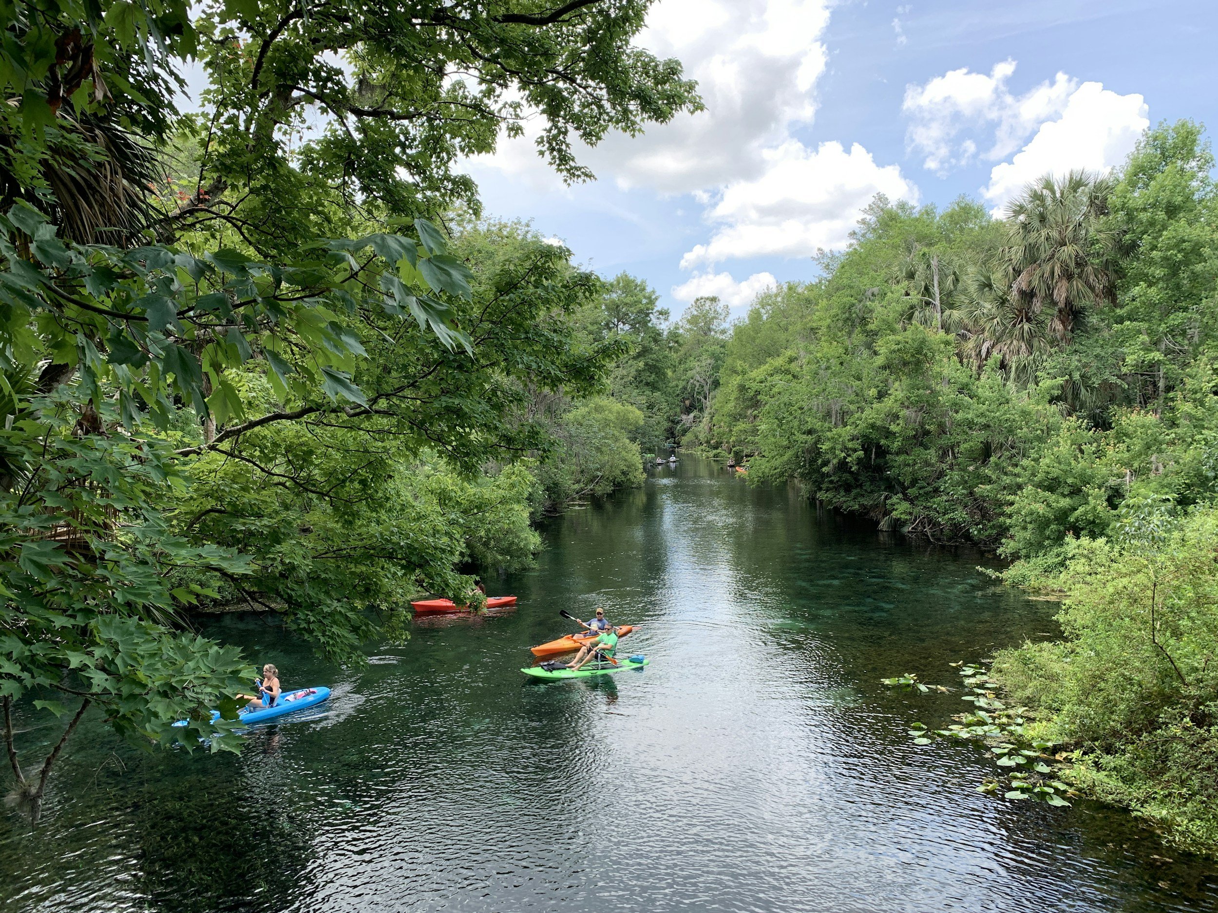 Beating the Late-Summer Heat: Best Springs to Cool Off Near Ocala