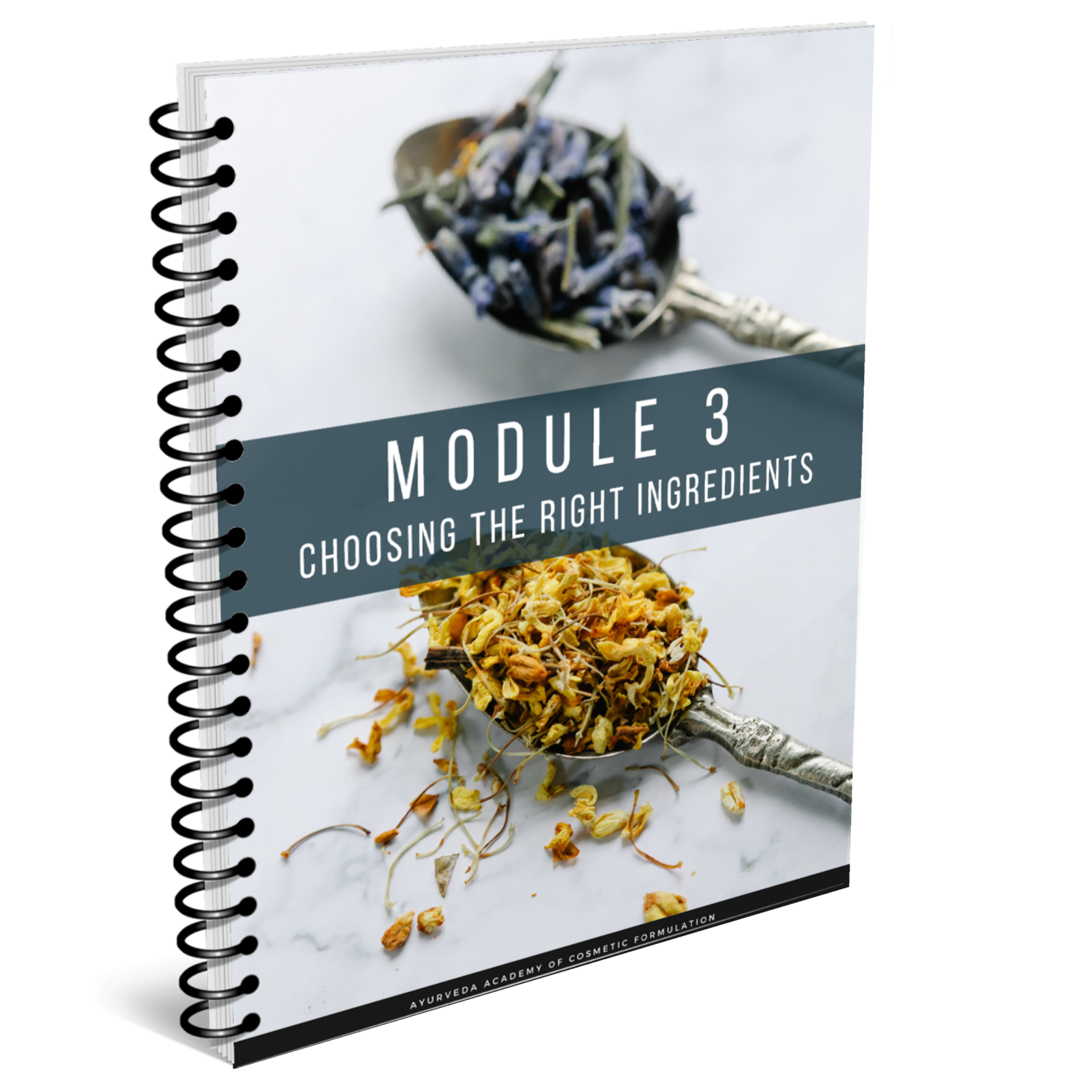 Spiral-bound notebook with cover titled 'Module 3: Choosing the Right Ingredients' featuring two spoons with dried herbs.