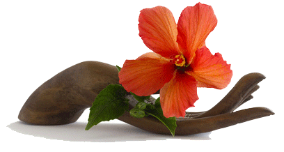 Wooden hand sculpture holding an orange hibiscus flower with green leaves.