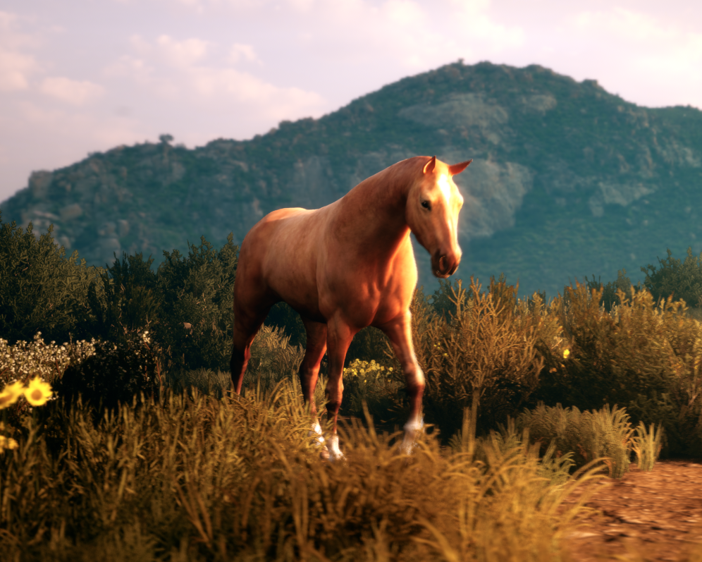 Horse - 3D Animation