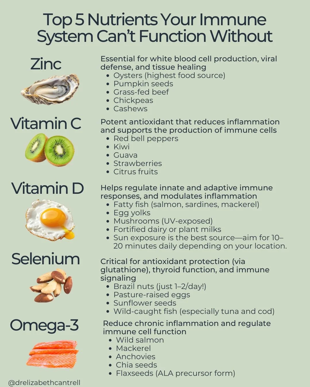 Here is the part most people never hear: why these nutrients matter so much.

🧩They control how well immune cells communicate

Your immune system is a network. Nutrients like zinc, vitamin D, and vitamin A help immune cells send accurate signals. Wh