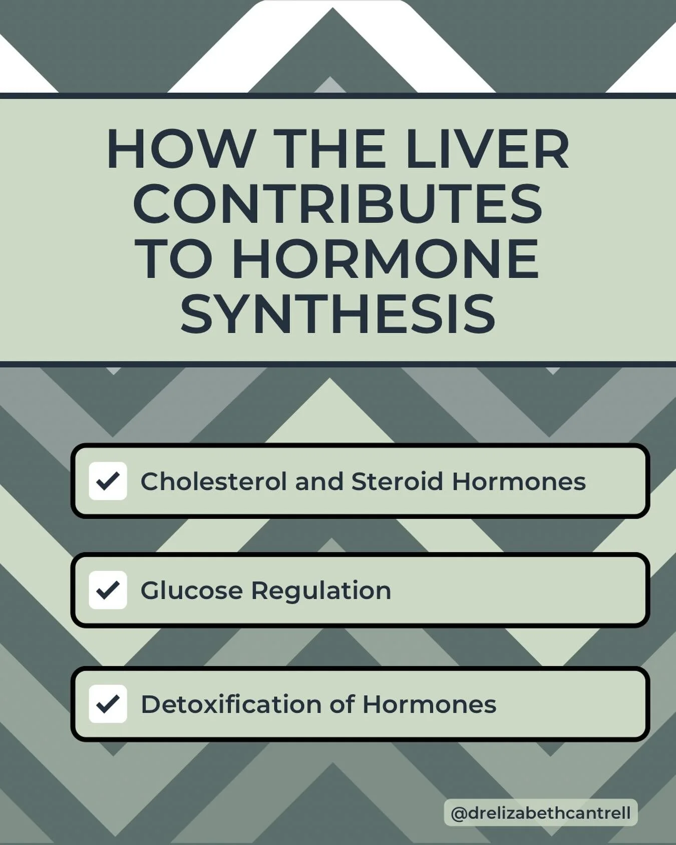 Are you aware of the liver-hormone connection? 🤔

The liver is not just an organ; it&rsquo;s a powerhouse. Holding the title of the largest gland in the body, it executes more than 500 crucial functions, including those to do with your hormones.

Fi