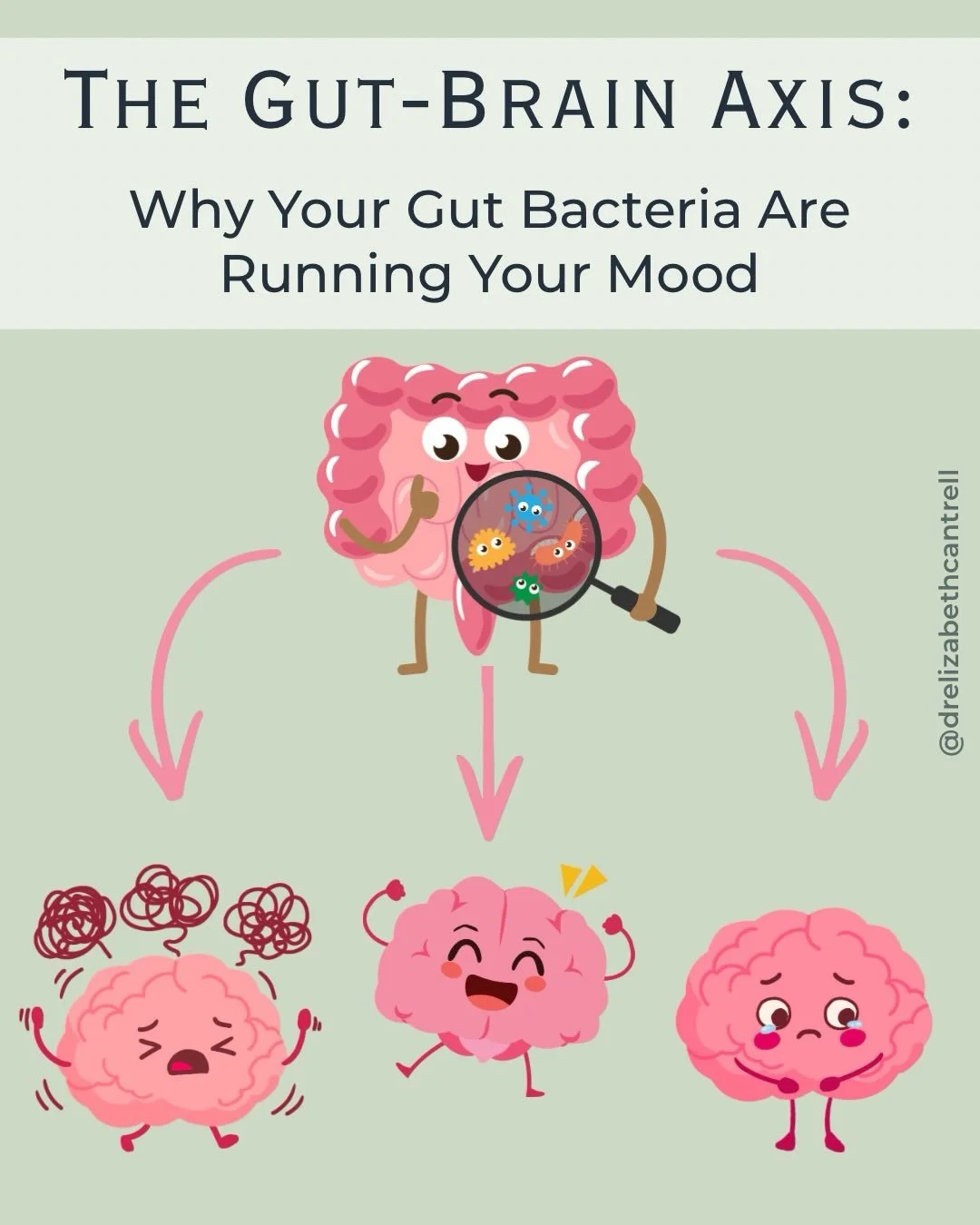 🚫Your anxiety, your low motivation, and your foggy thinking are not personality problems.

Your gut microbiome is involved. The research has been accumulating for over a decade, much of it coming from Dr. John Cryan and Dr. Ted Dinan at University C