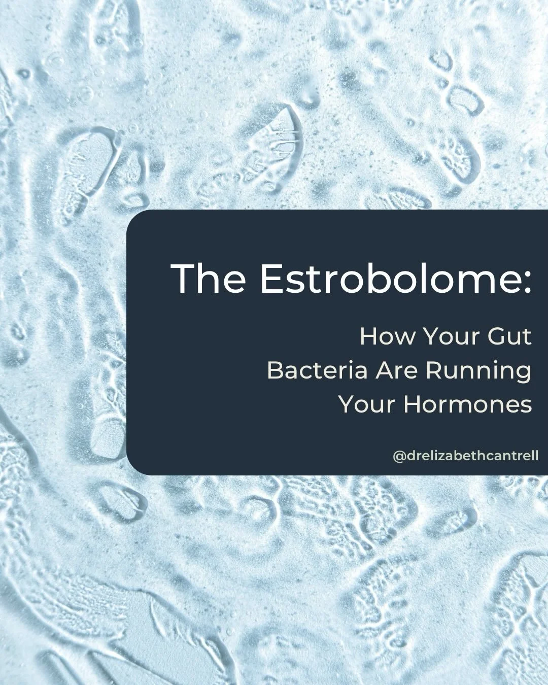 Your gut bacteria are involved in your hormone levels. ❌Not metaphorically. ✅Biochemically.

There is a specific community of gut microbes called the estrobolome that directly governs how much estrogen recirculates in your body. Most hormone workups,