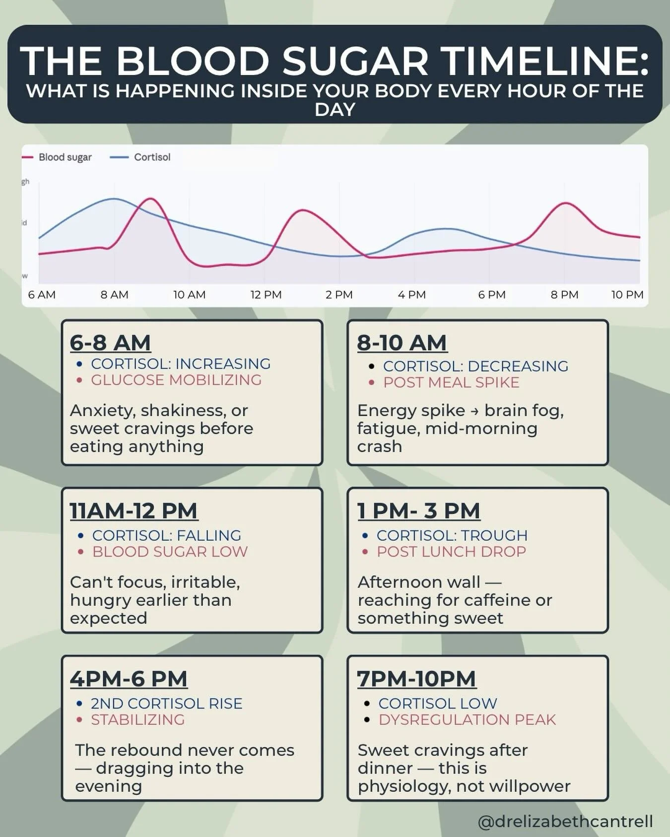 Your blood sugar is not random. It runs on a rhythm. And once you understand that rhythm, a lot of things that felt like personality start to make a lot more sense.

⏰6 to 8am
Cortisol rises naturally to mobilize glucose from the liver and get you mo