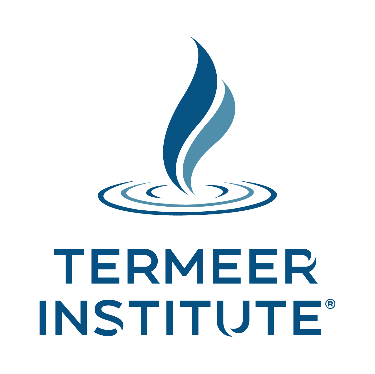 The Termeer Institute logo