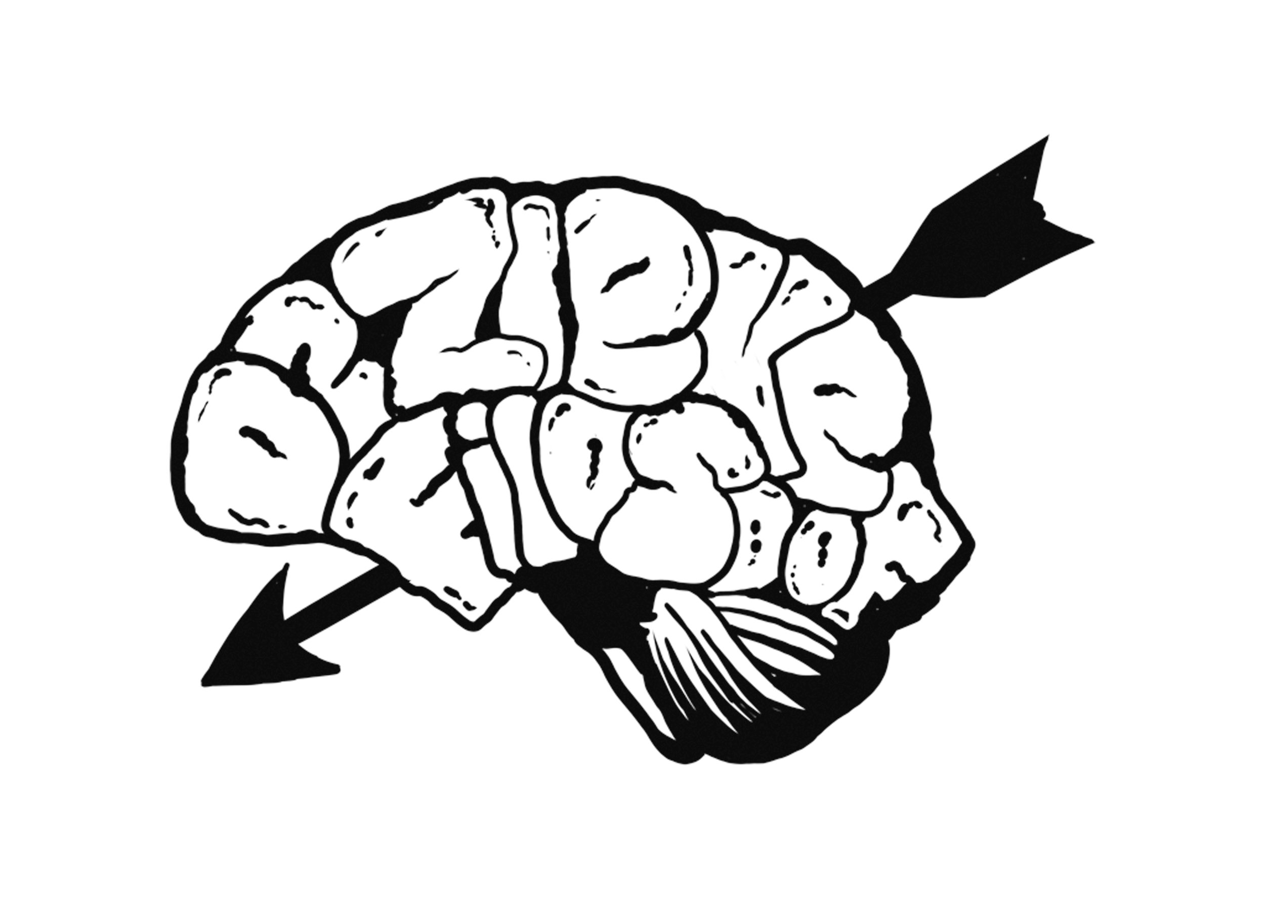 Introductie van deziekefilosoof