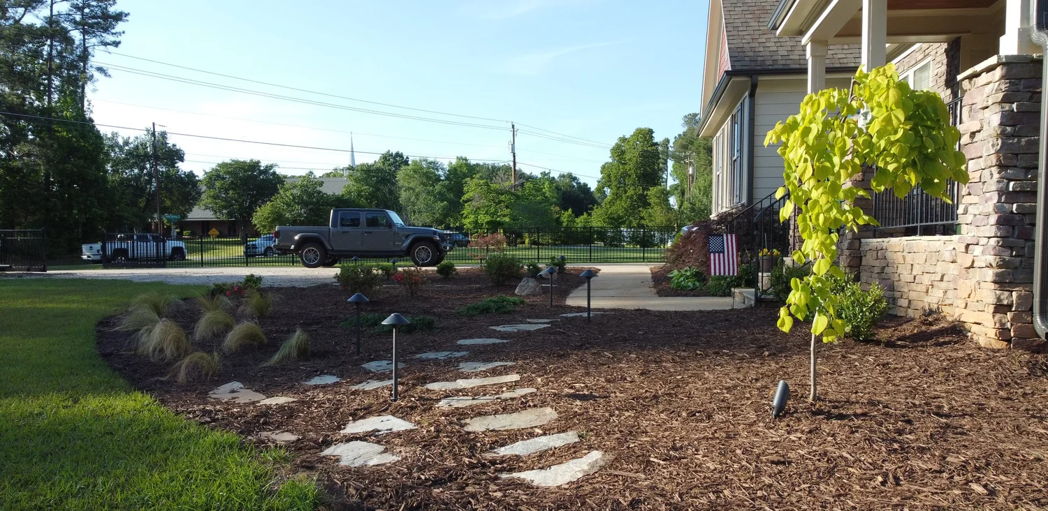 brown triple shredded mulch covering the ground with embedded flagstone steppers with black outdoor lighting fixtures and a bright yellow redbud tree. Also wheat grass, a few azaleas spread throughout the natural mulched bed area and american flag in
