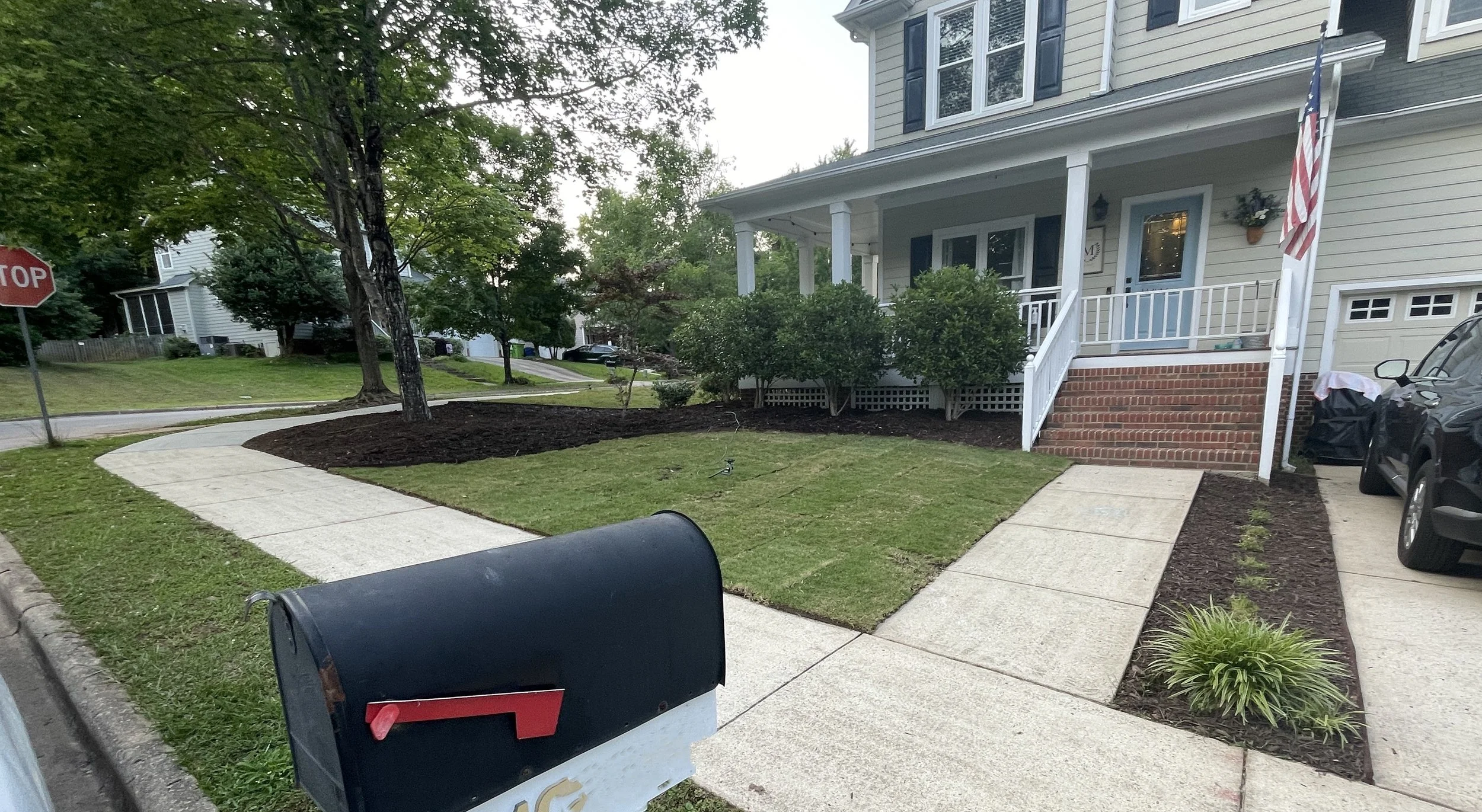 a front lawn on a corner street with a fresh green grass lawn with fresh triple shred mulch beds with some holly bushes and liriope plants and a front house door painted light blue with a craftsmans porch with a fresh front lawn in the triangle area