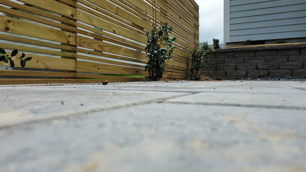 natural wood slats unstained running across a hardscape surface that is gray with two jasmin plants infront of the wood slates and a gray stone retaining wall with a blue sky backdrop