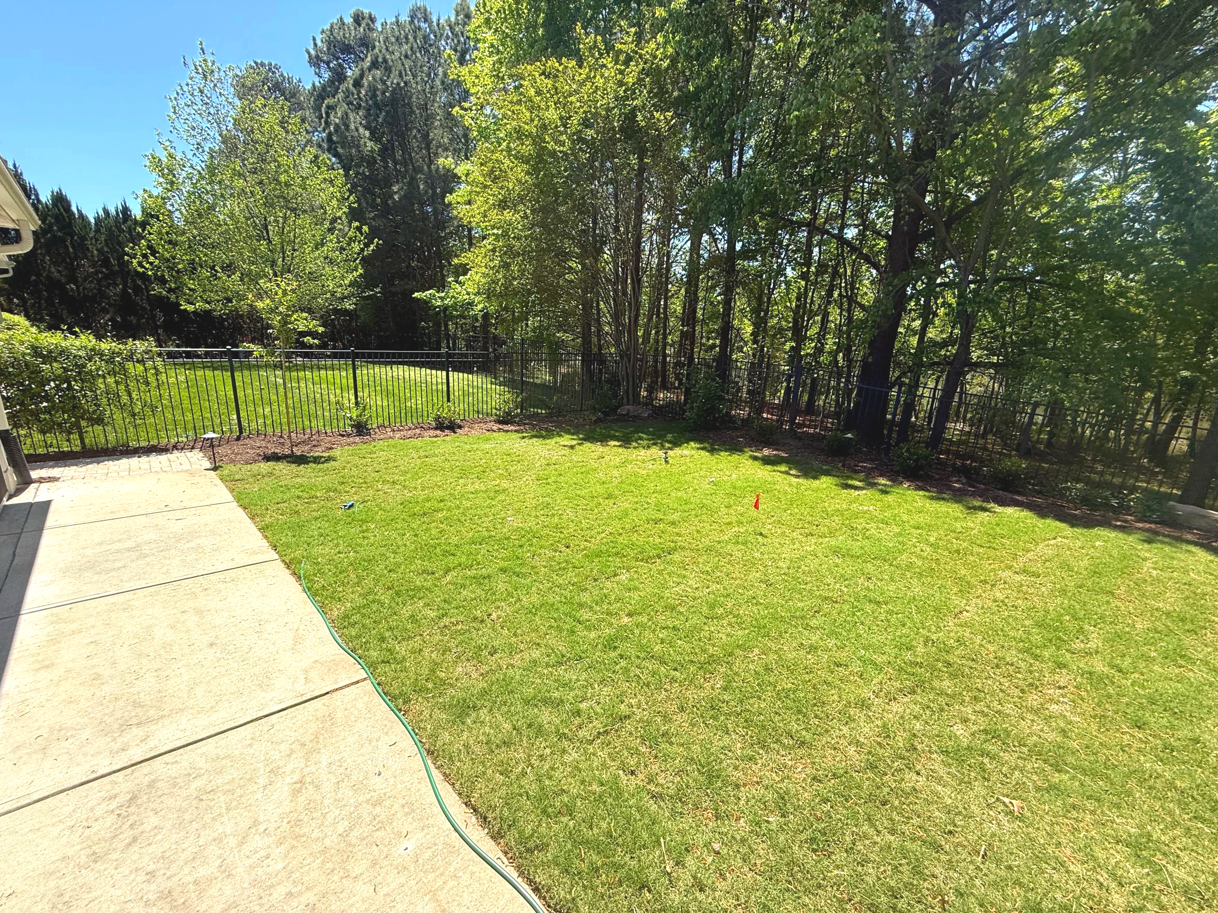 green summer warm season grass in a backyard with concrete walkway on left side and mulch beds surrounding the perimeter and a black aluminum fence with green plants and small black umbrella lights in front of it