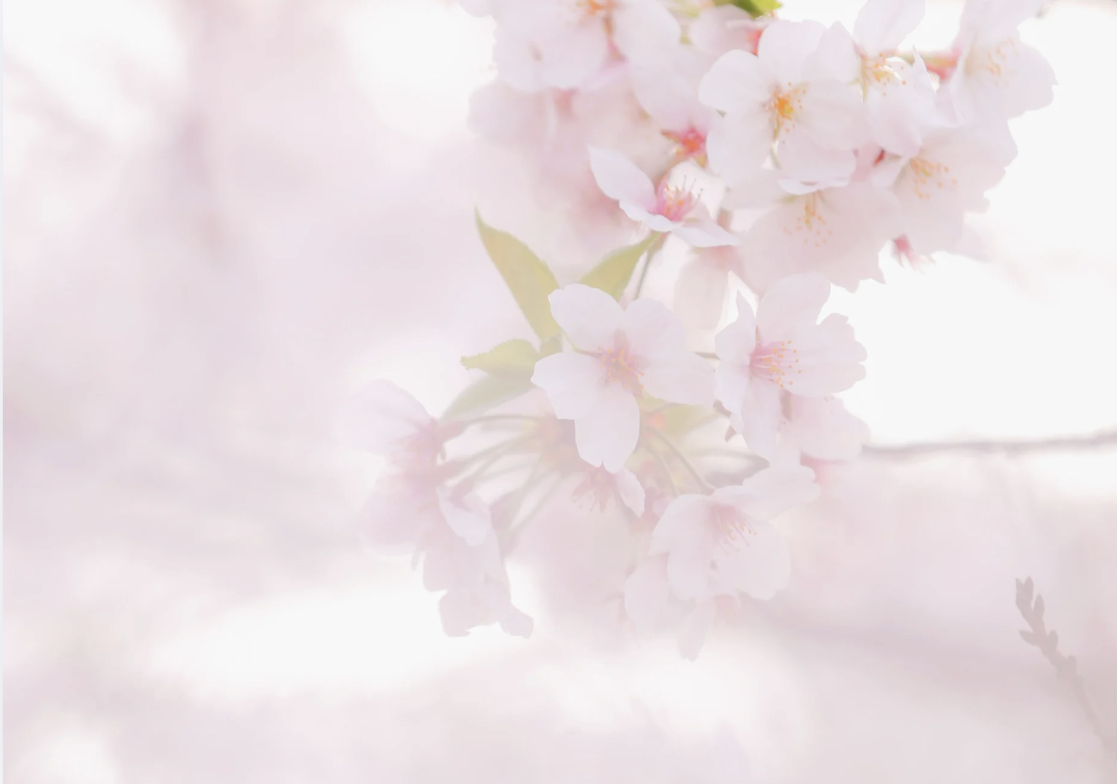 GesundheitsRaum_amLebensFluss-Gutschein