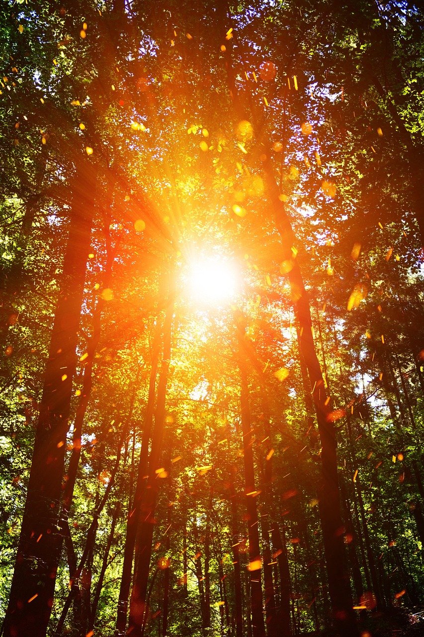 GesundheitsRaum_amLebensFluss-GE-ZEITEN