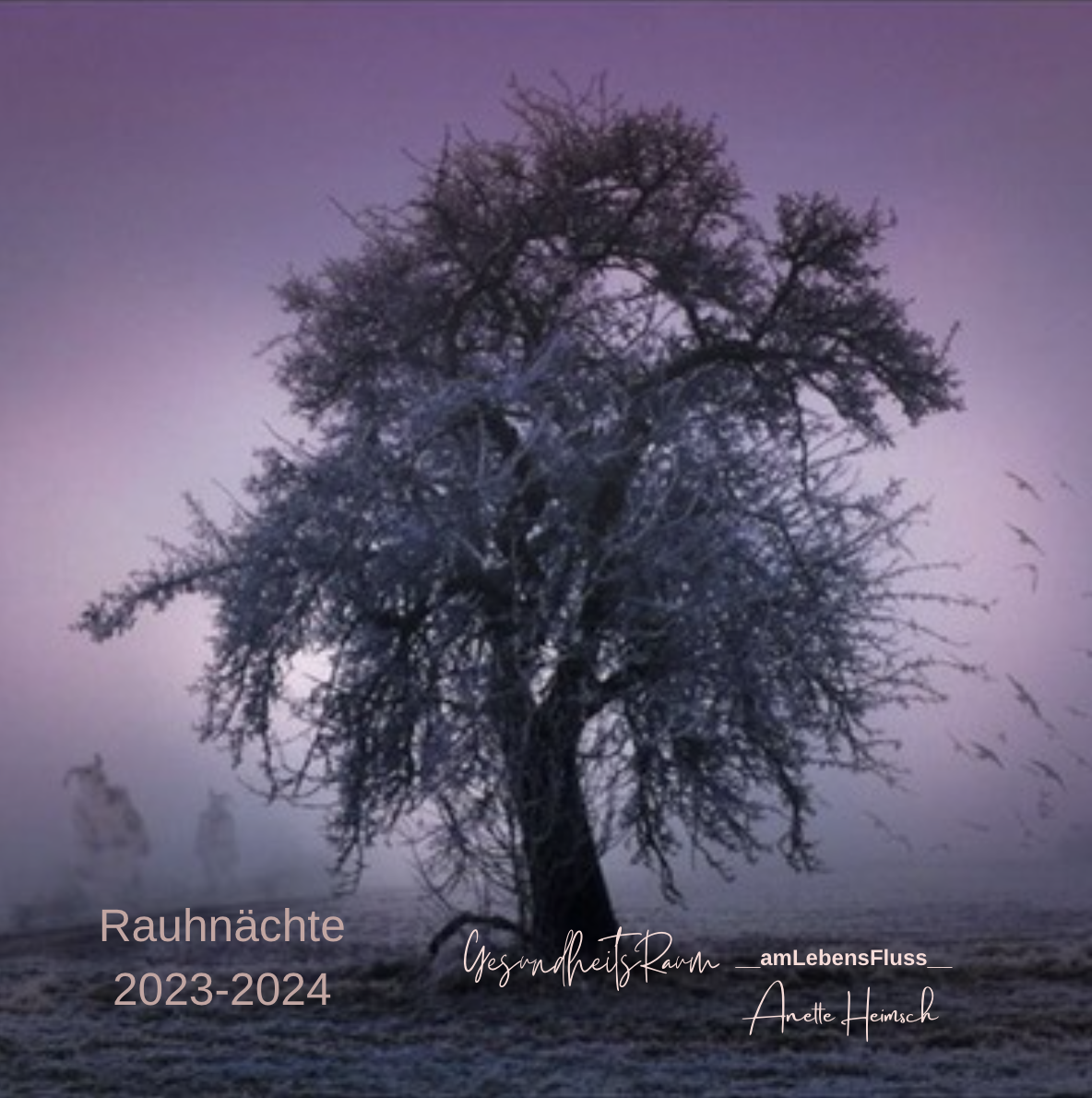 RAUNÄCHTE 2023-2024