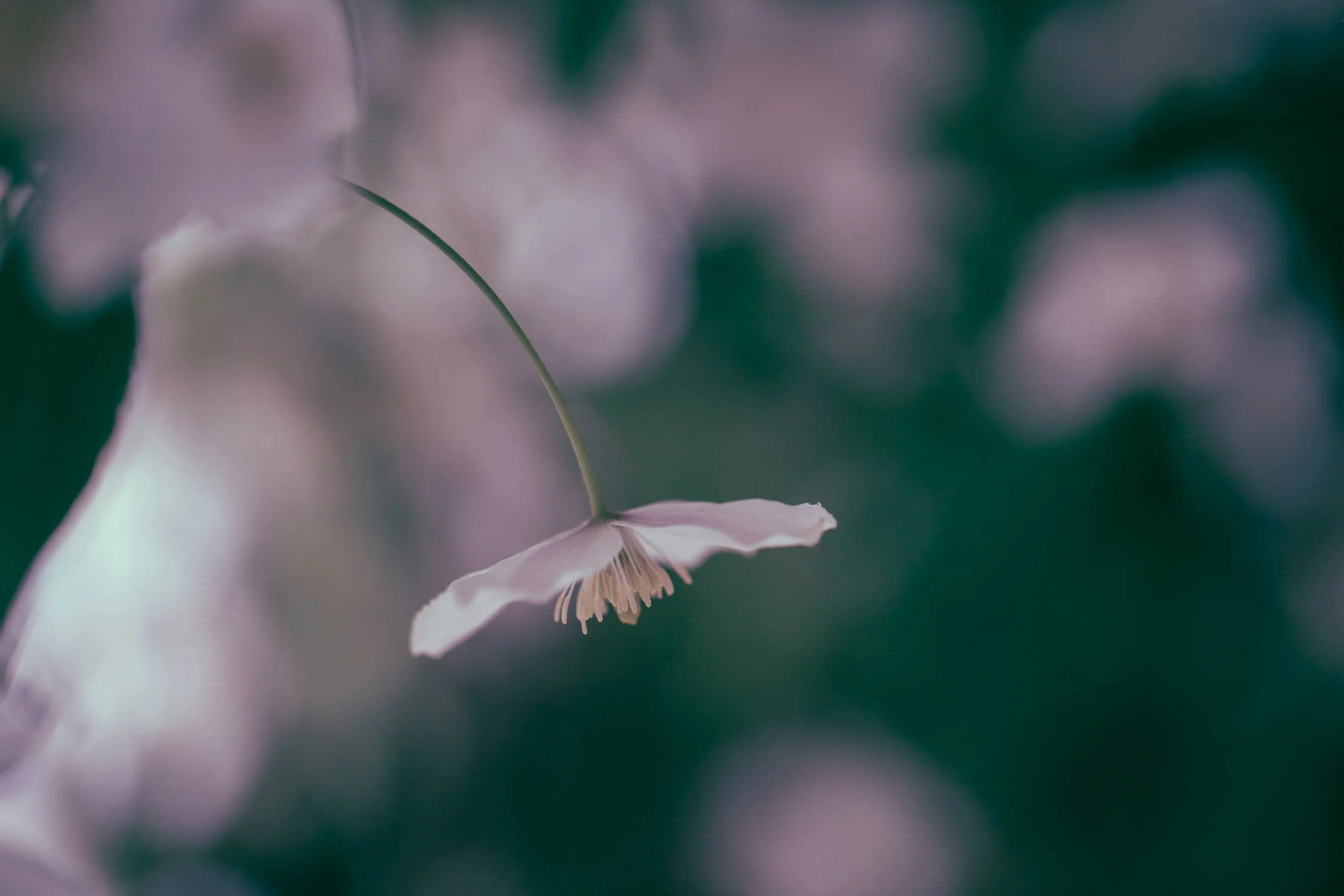 ZEIT zum ATMEN - Intensiver Workshop