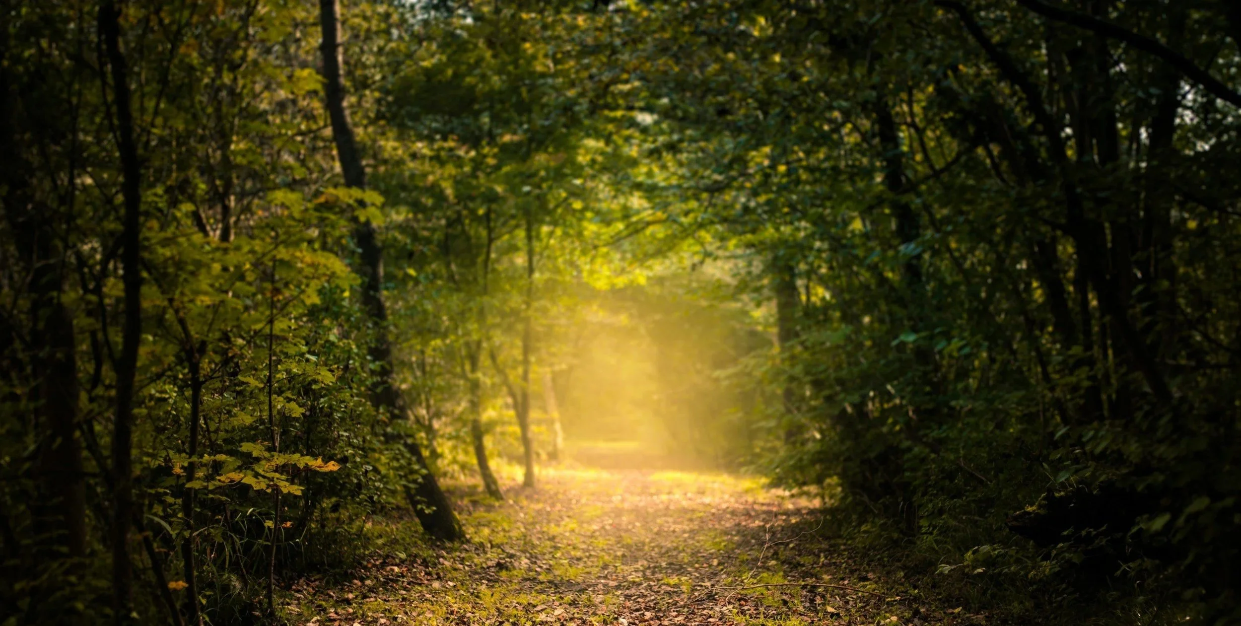 GesundheitsRaum_amLebensFluss-GUTSCHEIN